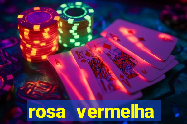 rosa vermelha (letra e cifra)